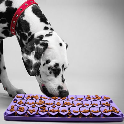 Σιλικόνη Slow Feeders Snuffle Mat Πρώτο δείγμα για ελεύθερη αντοχή θερμοκρασίας -40 έως 250
